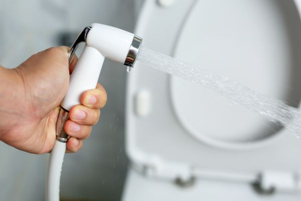 Cost of Bidet Installation in Bellevue