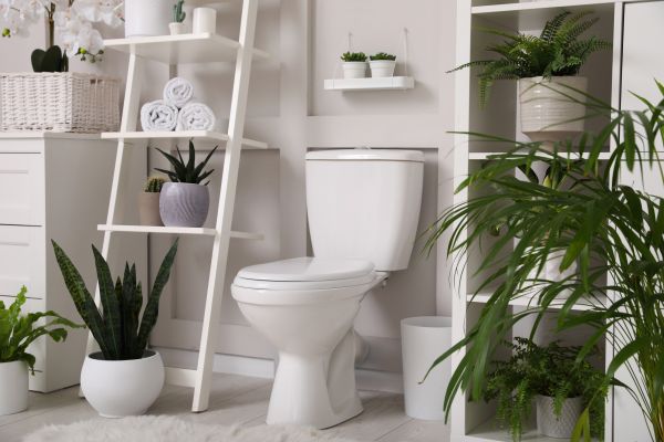 Cost of Toilet Repair in Bellevue