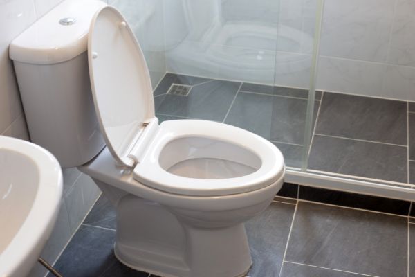 Cost of Toilet Replacement in Bellevue