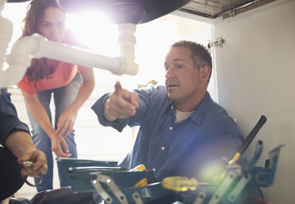 Cost of Plumbing Maintenance in Bellevue