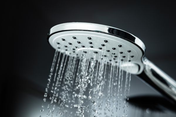 Cost of Shower Head Replacement in Bellevue