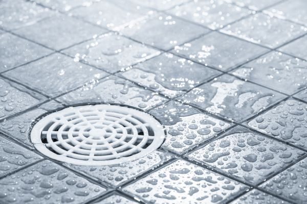 Cost of Shower Drain Installation in Bellevue