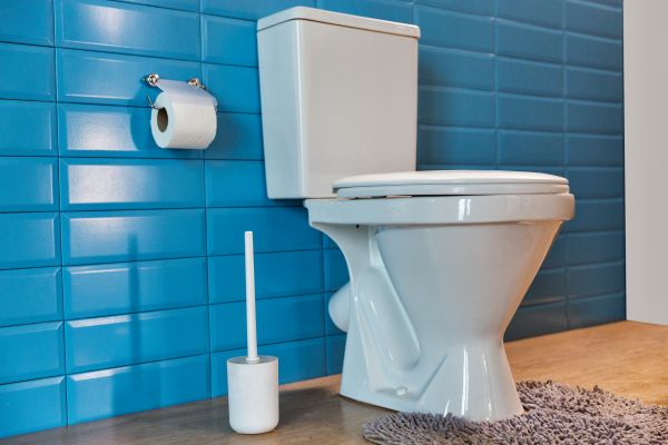 Cost of Toilet Tank Repair in Bellevue