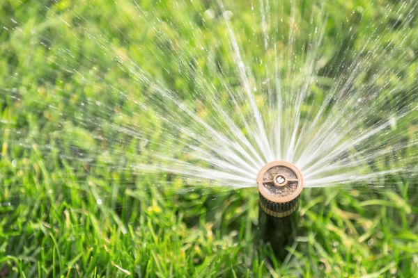 Cost of Spigot Installation in Bellevue