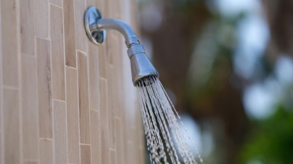 Cost of Showerhead Repair in Bellevue
