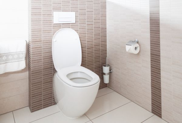 Cost of Toilet Plumbing Installation in Bellevue
